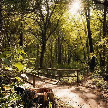 Appartement Sonne & Ruhe, Mit Terrasse Im Herzen Hannovers